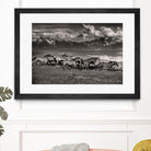 Mountain Range Mavericks by Lisa Dearing on GIANT ART - multicolor photography; animals
