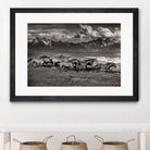 Mountain Range Mavericks by Lisa Dearing on GIANT ART - multicolor photography; animals