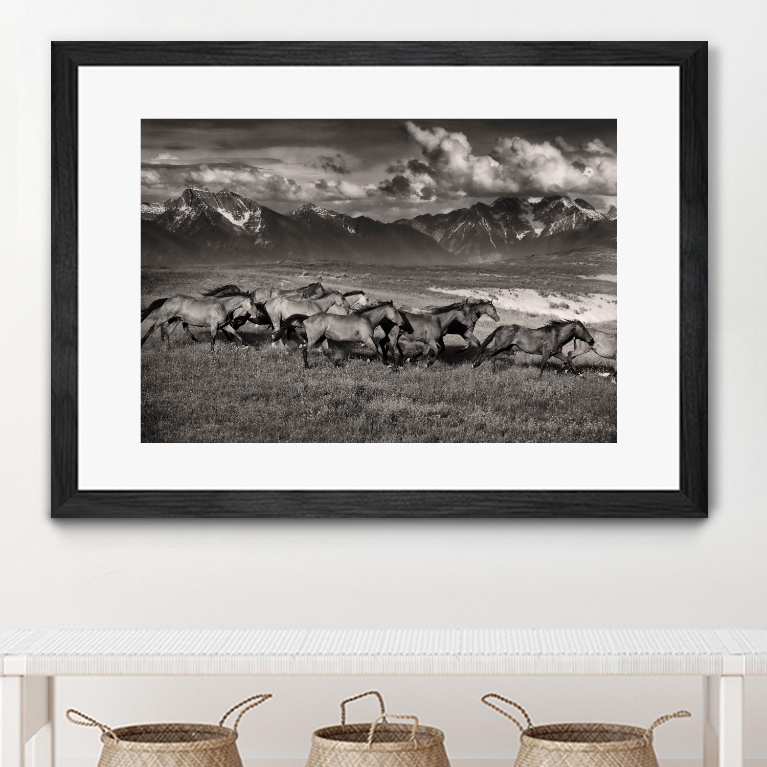 Mountain Range Mavericks by Lisa Dearing on GIANT ART - multicolor photography; animals