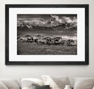 Mountain Range Mavericks by Lisa Dearing on GIANT ART - multicolor photography; animals