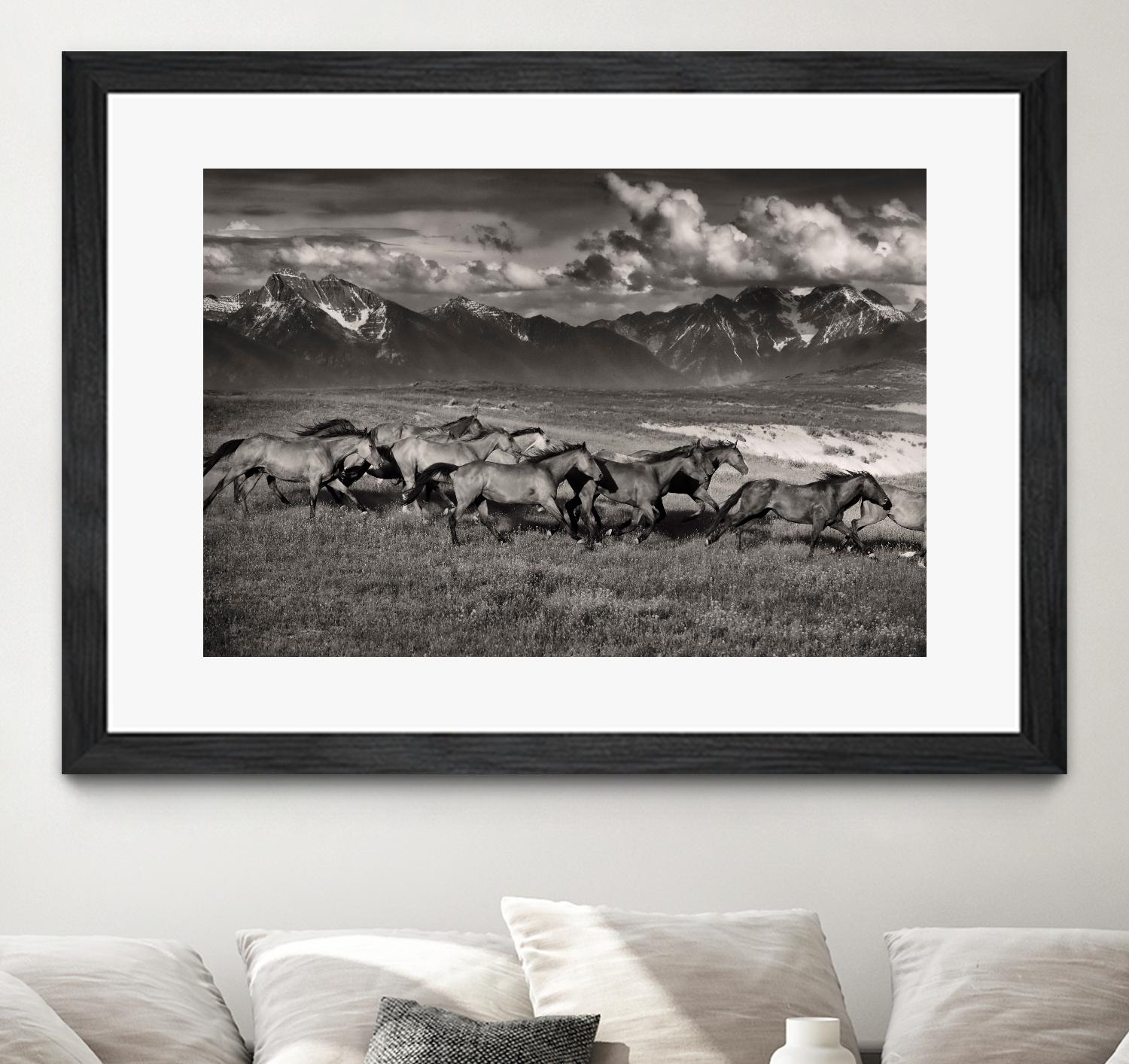 Mountain Range Mavericks by Lisa Dearing on GIANT ART - multicolor photography; animals