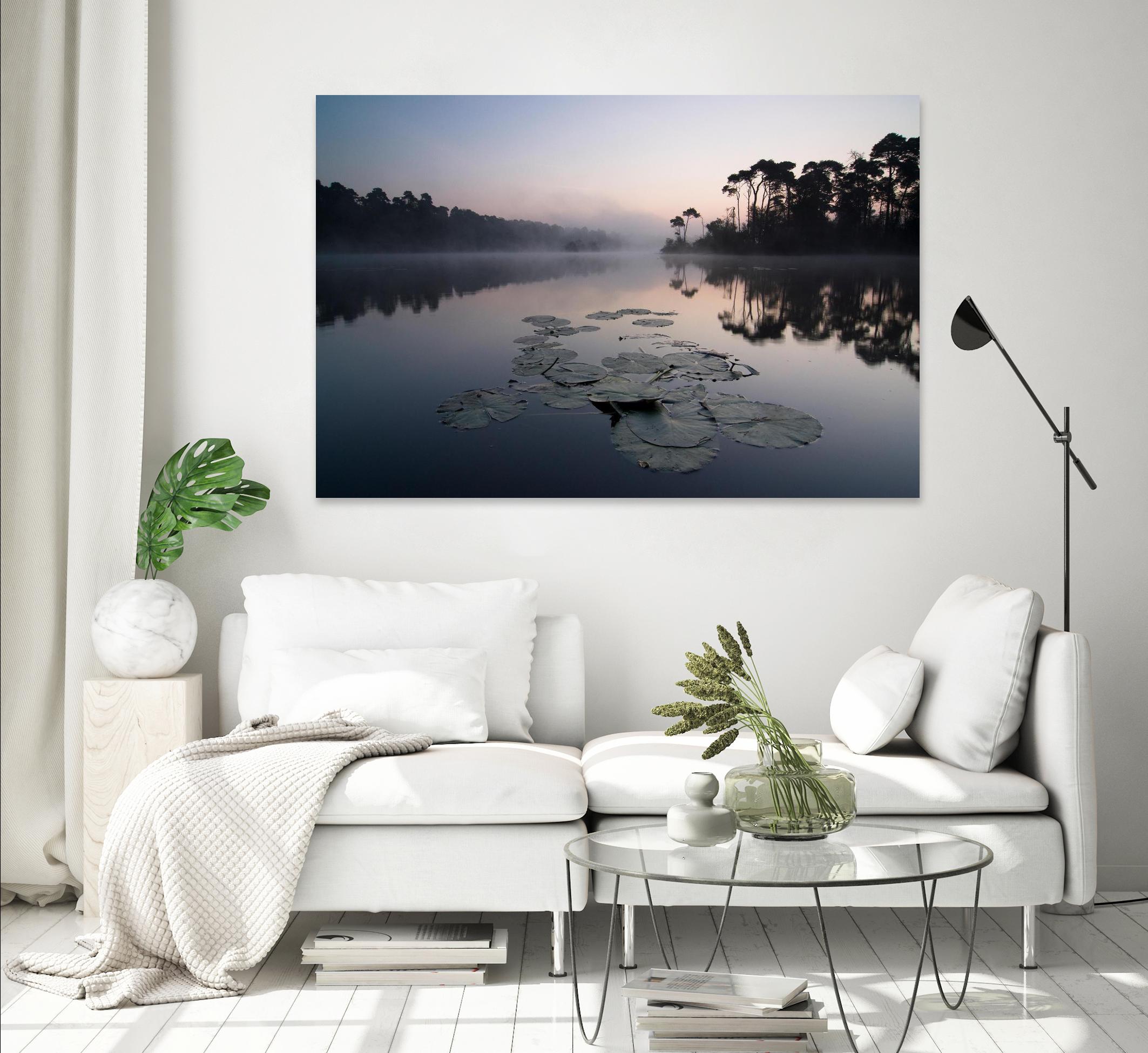 Oisterwijkse Vennen by Wilco Dragt on GIANT ART - multicolor photography; landscapes