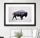 The American Bison by Davies Babies on GIANT ART - white animals