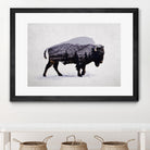 The American Bison by Davies Babies on GIANT ART - white animals