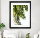 Palm Leaves by Lexie Greer on GIANT ART - multicolor photography; floral/still life