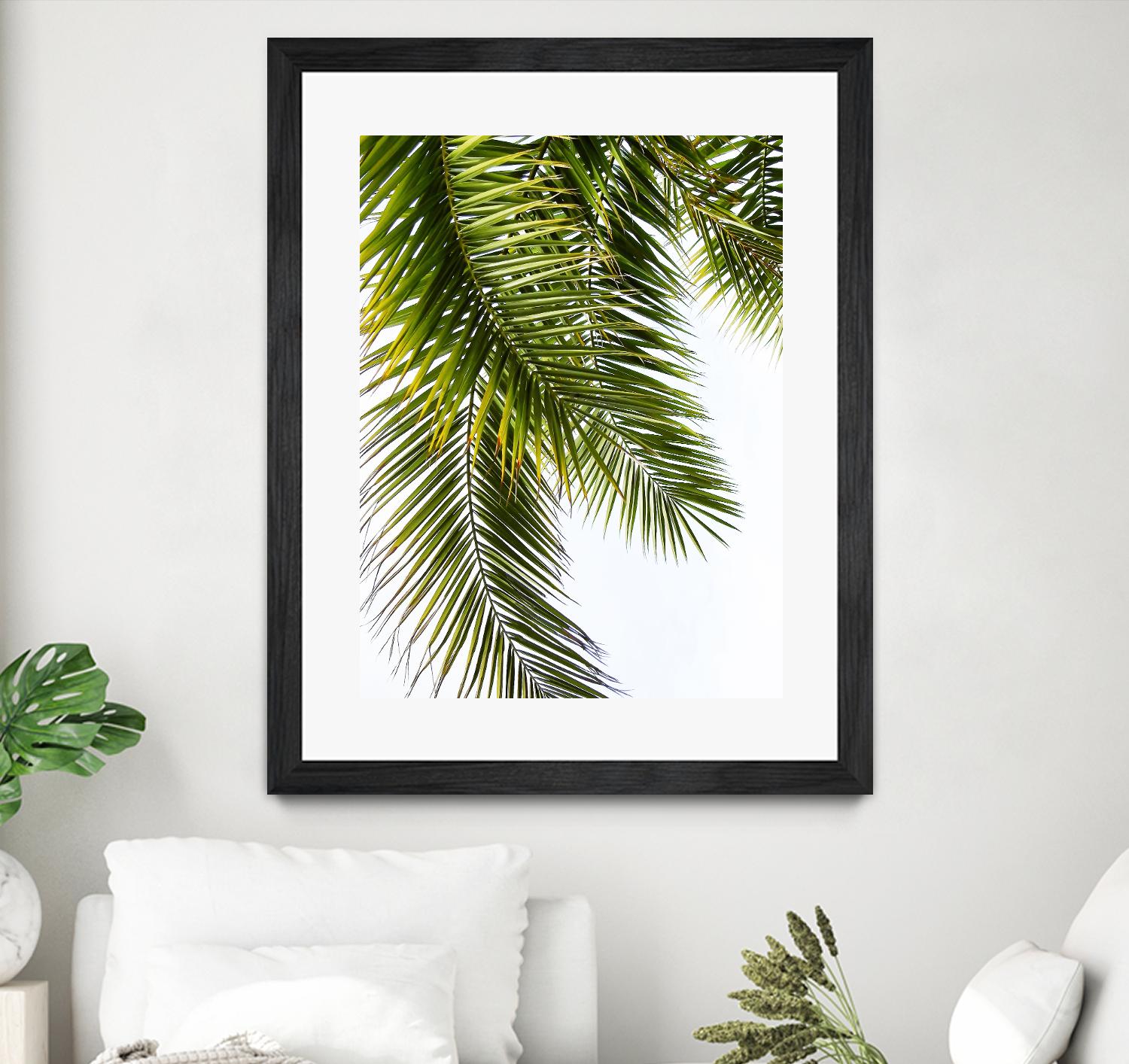 Palm Leaves by Lexie Greer on GIANT ART - multicolor photography; floral/still life
