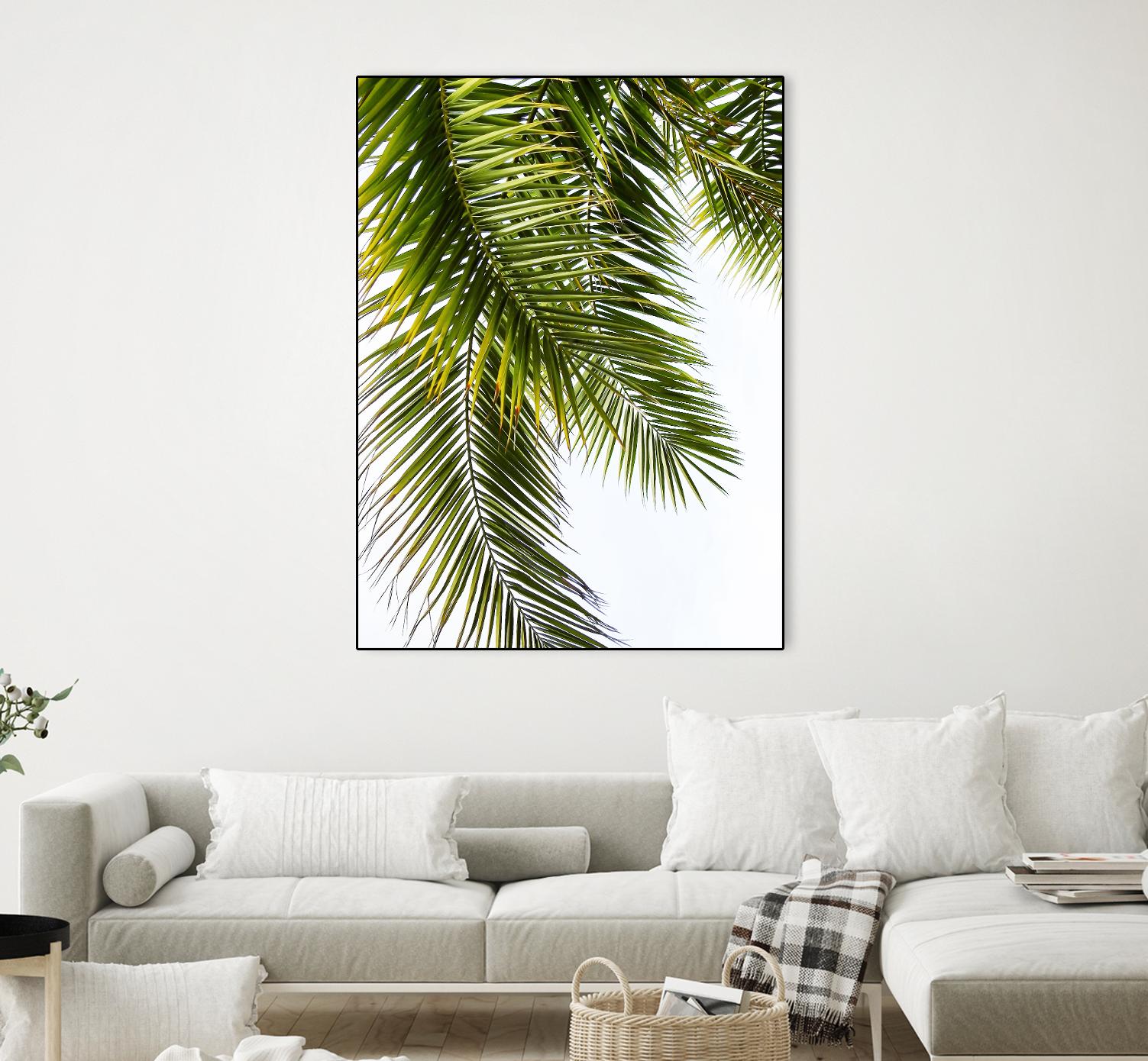 Palm Leaves by Lexie Greer on GIANT ART - multicolor photography; floral/still life