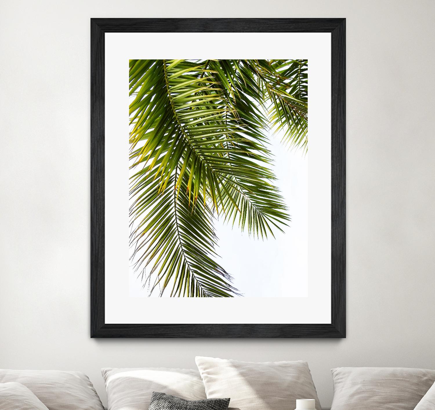 Palm Leaves by Lexie Greer on GIANT ART - multicolor photography; floral/still life