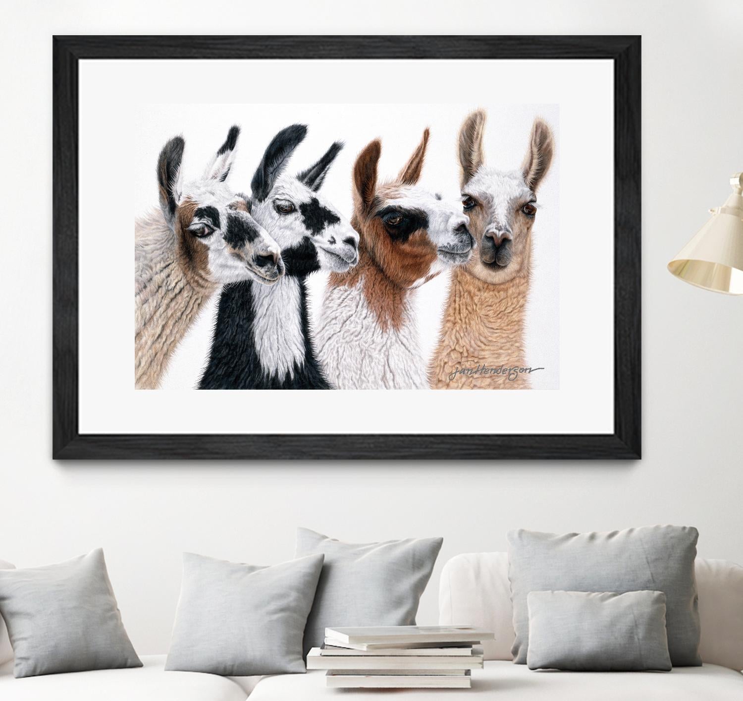 Peruvian Visitors by Jan Henderson on GIANT ART - multicolor animals; photography