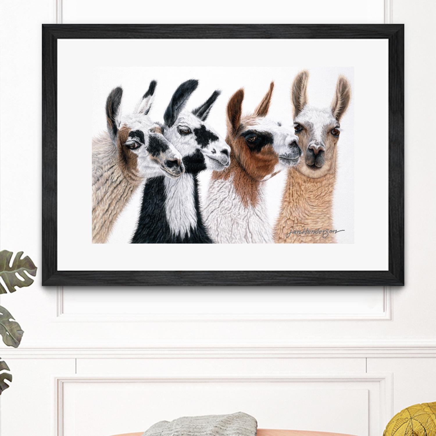 Peruvian Visitors by Jan Henderson on GIANT ART - multicolor animals; photography