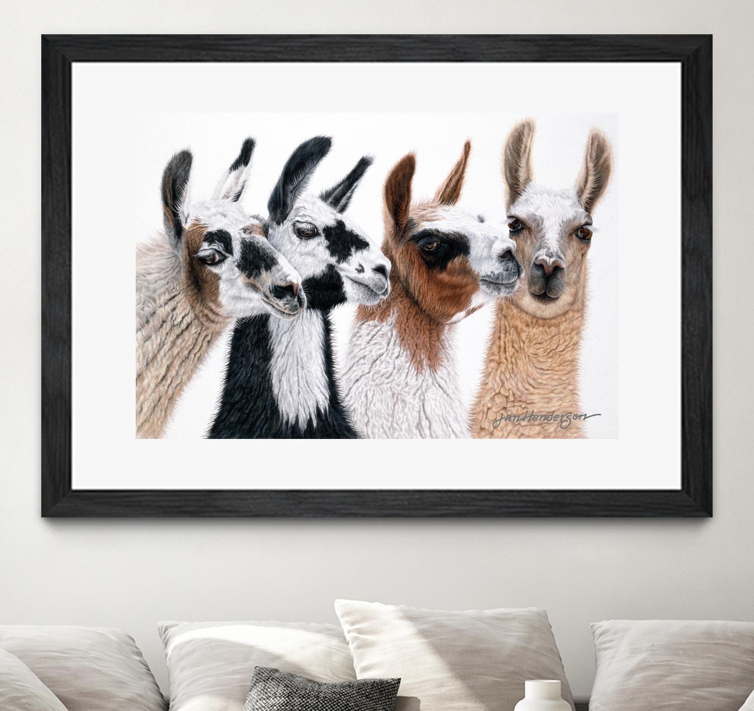 Peruvian Visitors by Jan Henderson on GIANT ART - multicolor animals; photography
