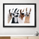 Peruvian Visitors by Jan Henderson on GIANT ART - multicolor animals; photography