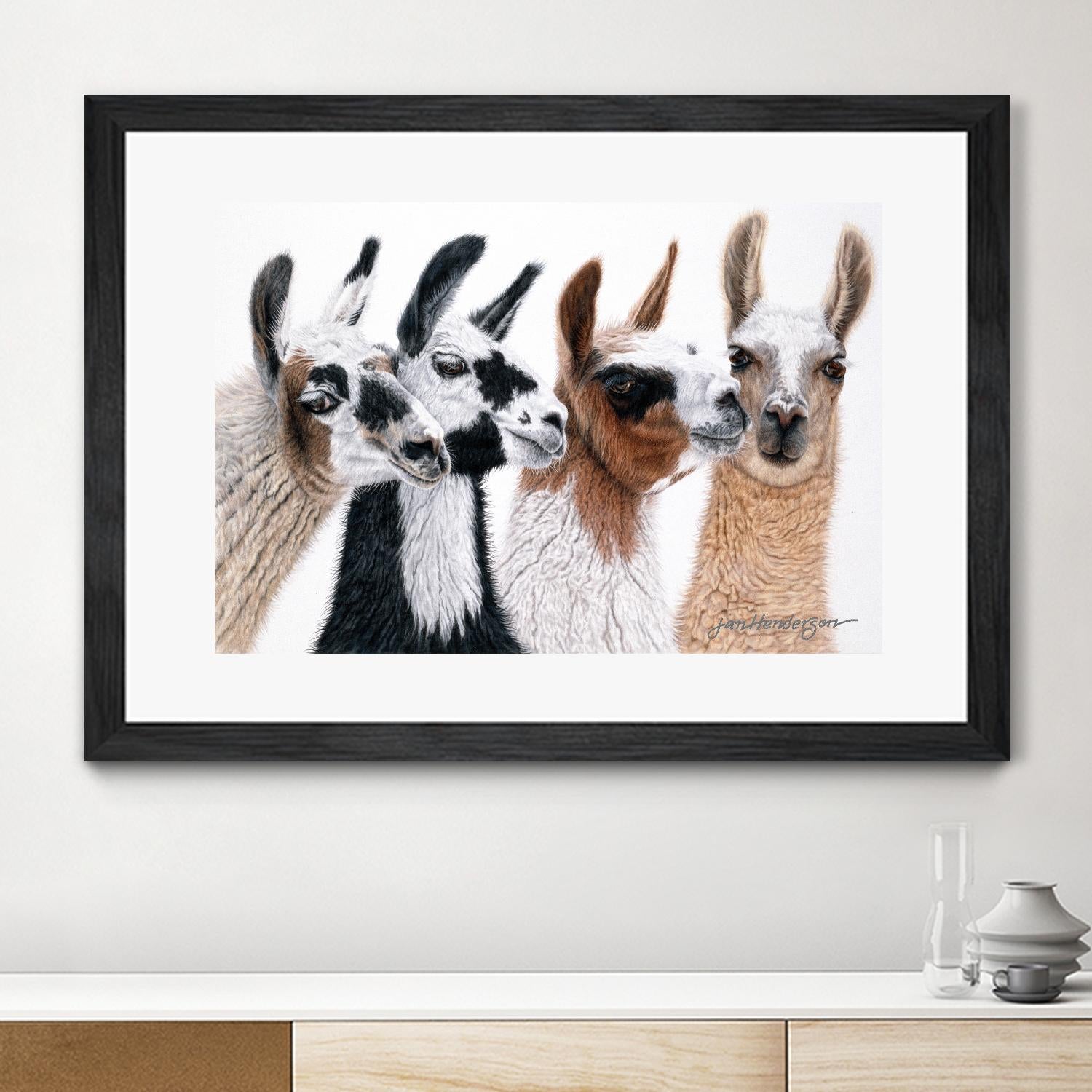 Peruvian Visitors by Jan Henderson on GIANT ART - multicolor animals; photography