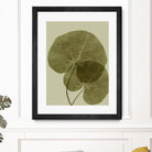 Heaven on 3rd II by Incado on GIANT ART - multicolor floral/still life; contemporary