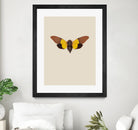 Cicada by Incado on GIANT ART - multicolor animals; floral/still life