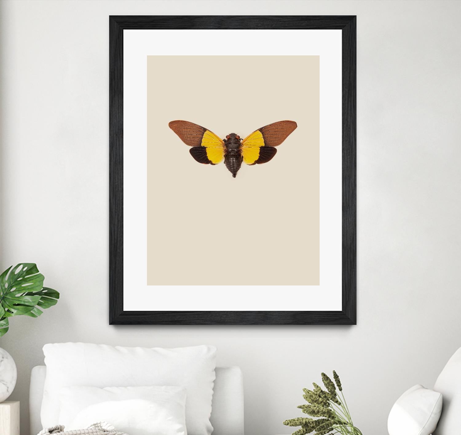 Cicada by Incado on GIANT ART - multicolor animals; floral/still life