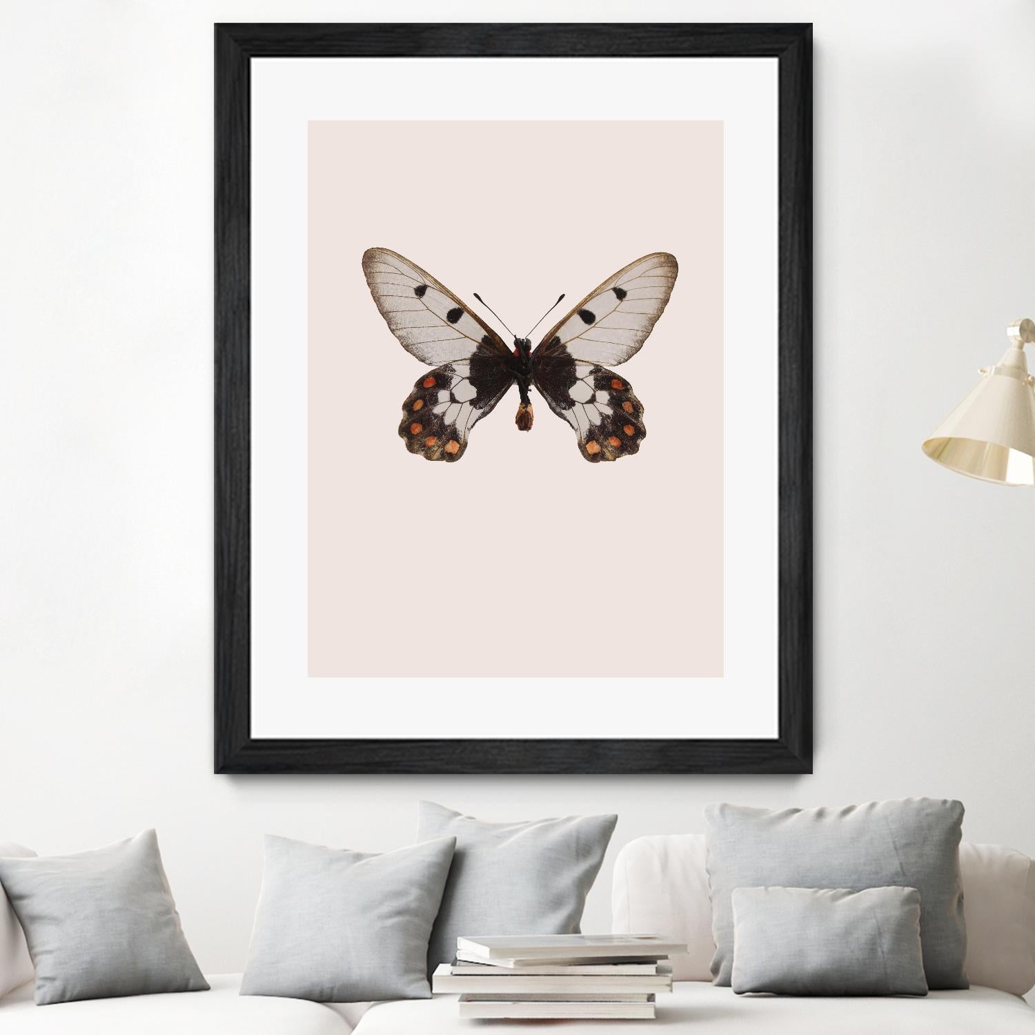 Cressida cressida by Incado on GIANT ART - multicolor animals; floral/still life
