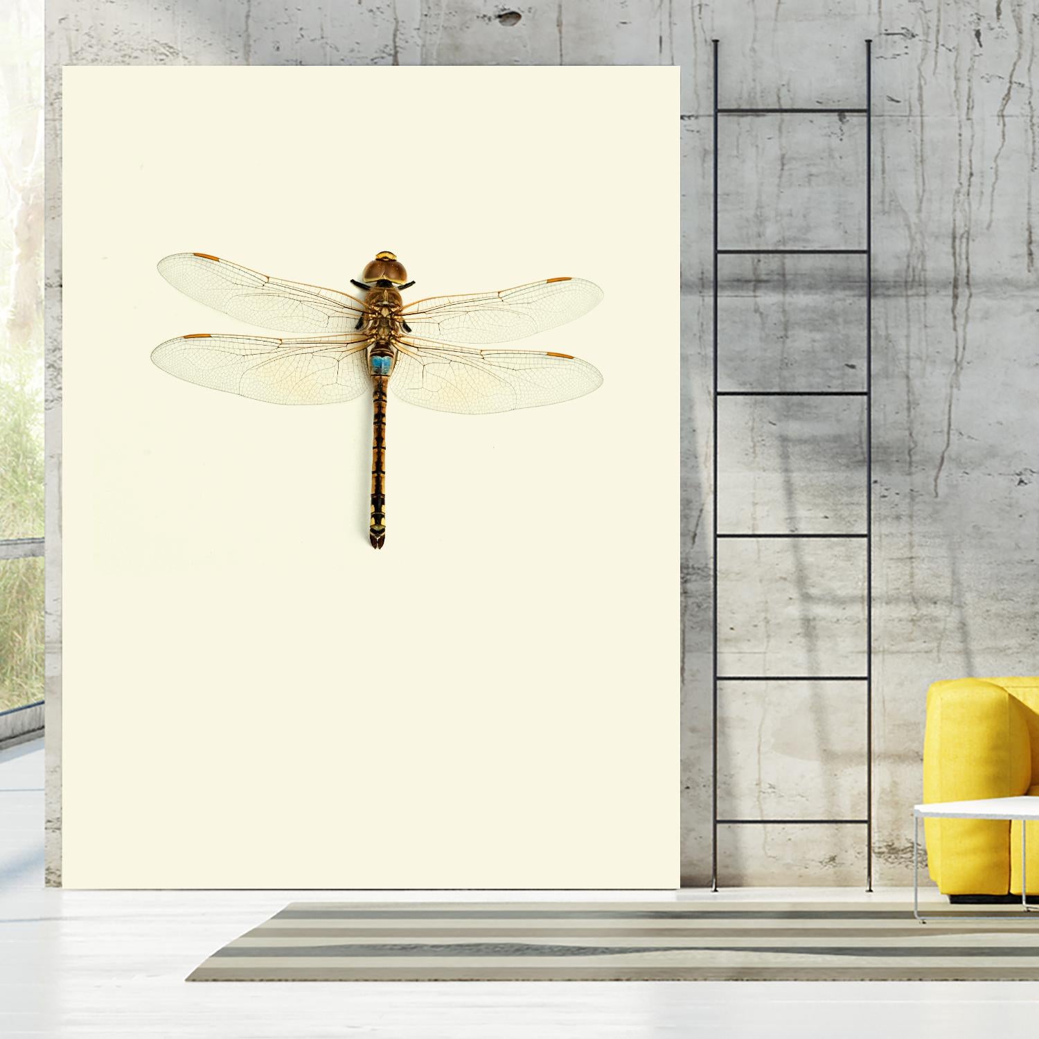 Dragonfly I by Incado on GIANT ART - multicolor animals; floral/still life