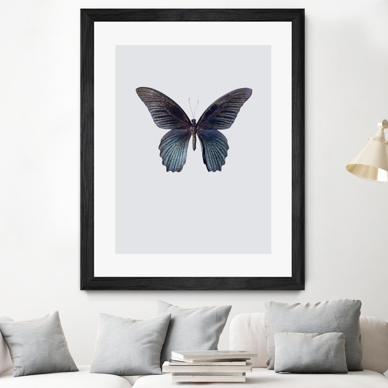 Great Mormon by Incado on GIANT ART - multicolor animals; floral/still life