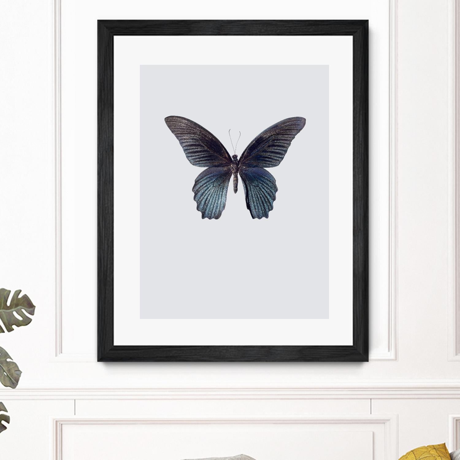 Great Mormon by Incado on GIANT ART - multicolor animals; floral/still life