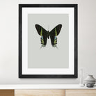 Green butterfly by Incado on GIANT ART - multicolor animals; floral/still life