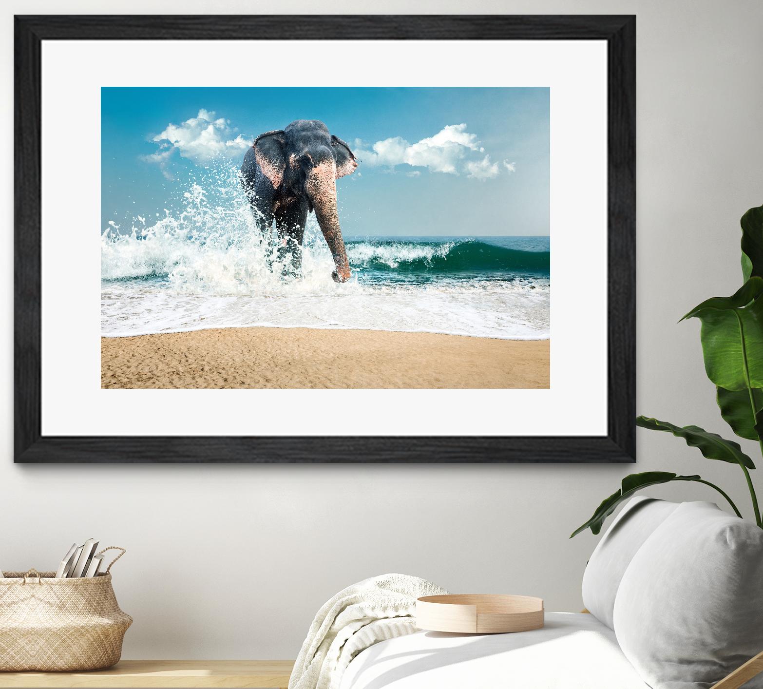 Elephant by PhotoINC Studio on GIANT ART - multicolor photography; animals