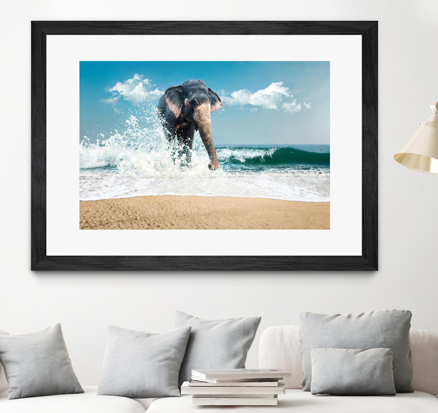 Elephant by PhotoINC Studio on GIANT ART - multicolor photography; animals