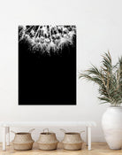 Crystal II by Incado on GIANT ART - multicolor photography; floral/still life
