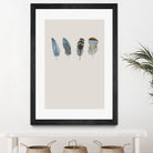 Feather 11 by Incado on GIANT ART - multicolor floral/still life