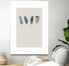 Feather 11 by Incado on GIANT ART - multicolor floral/still life