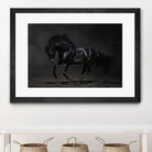 Onyx by PhotoINC Studio on GIANT ART - multicolor photography; animals