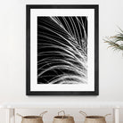 White Feather by Incado on GIANT ART - multicolor photography; floral/still life