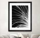 White Feather by Incado on GIANT ART - multicolor photography; floral/still life