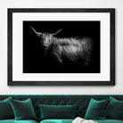 Hello by PhotoINC Studio on GIANT ART - multicolor animals; photography