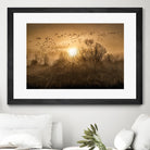 The Flight by Vladimir Kostka on GIANT ART - multicolor photography; landscapes
