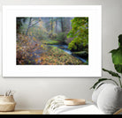 Snow in Fall by Tim Oldford on GIANT ART - multicolor photography; landscapes