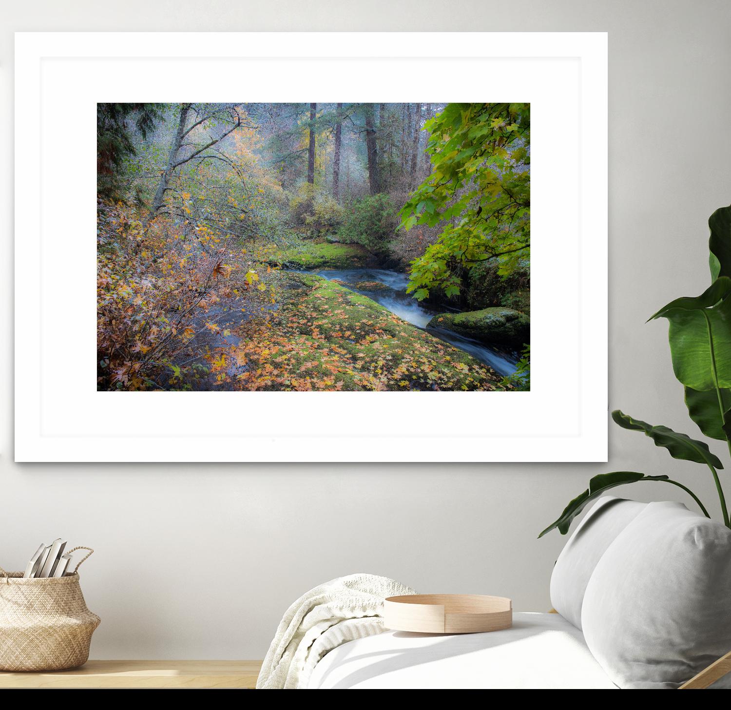 Snow in Fall by Tim Oldford on GIANT ART - multicolor photography; landscapes