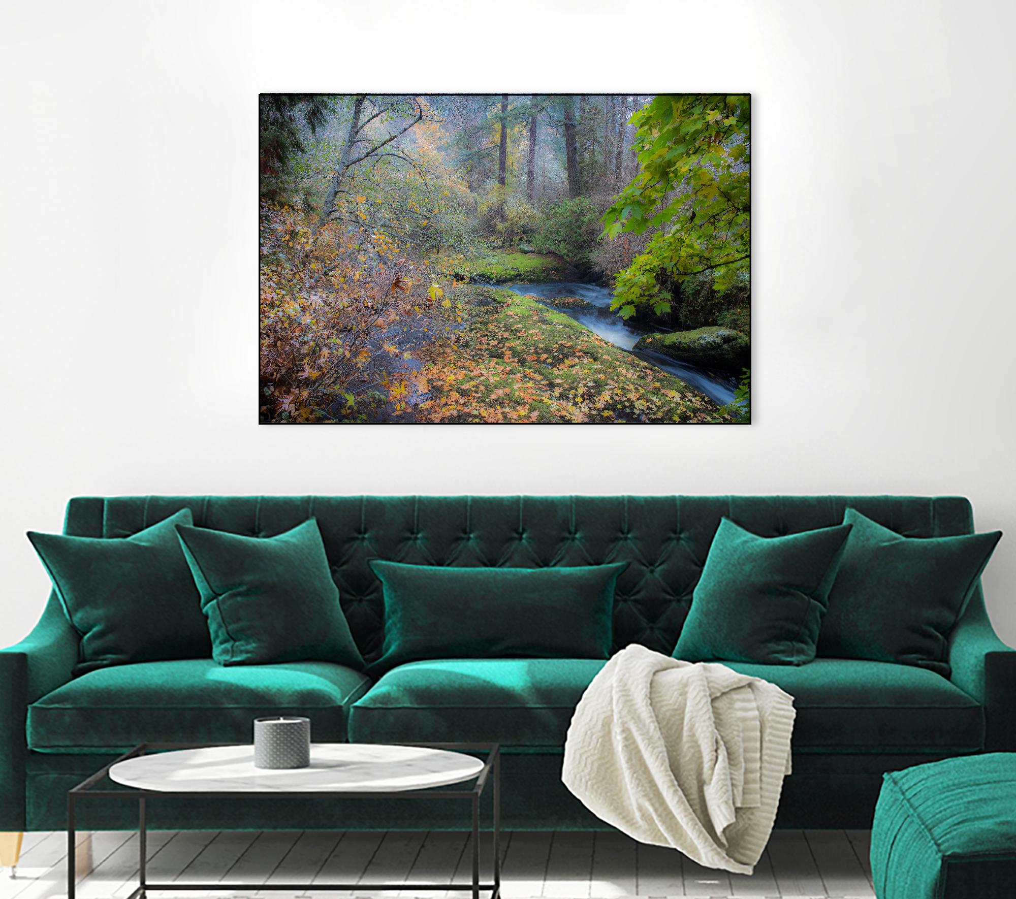 Snow in Fall by Tim Oldford on GIANT ART - multicolor photography; landscapes