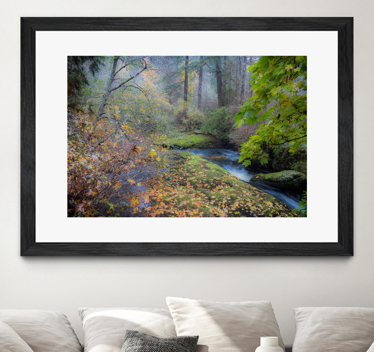 Snow in Fall by Tim Oldford on GIANT ART - multicolor photography; landscapes
