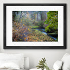 Snow in Fall by Tim Oldford on GIANT ART - multicolor photography; landscapes