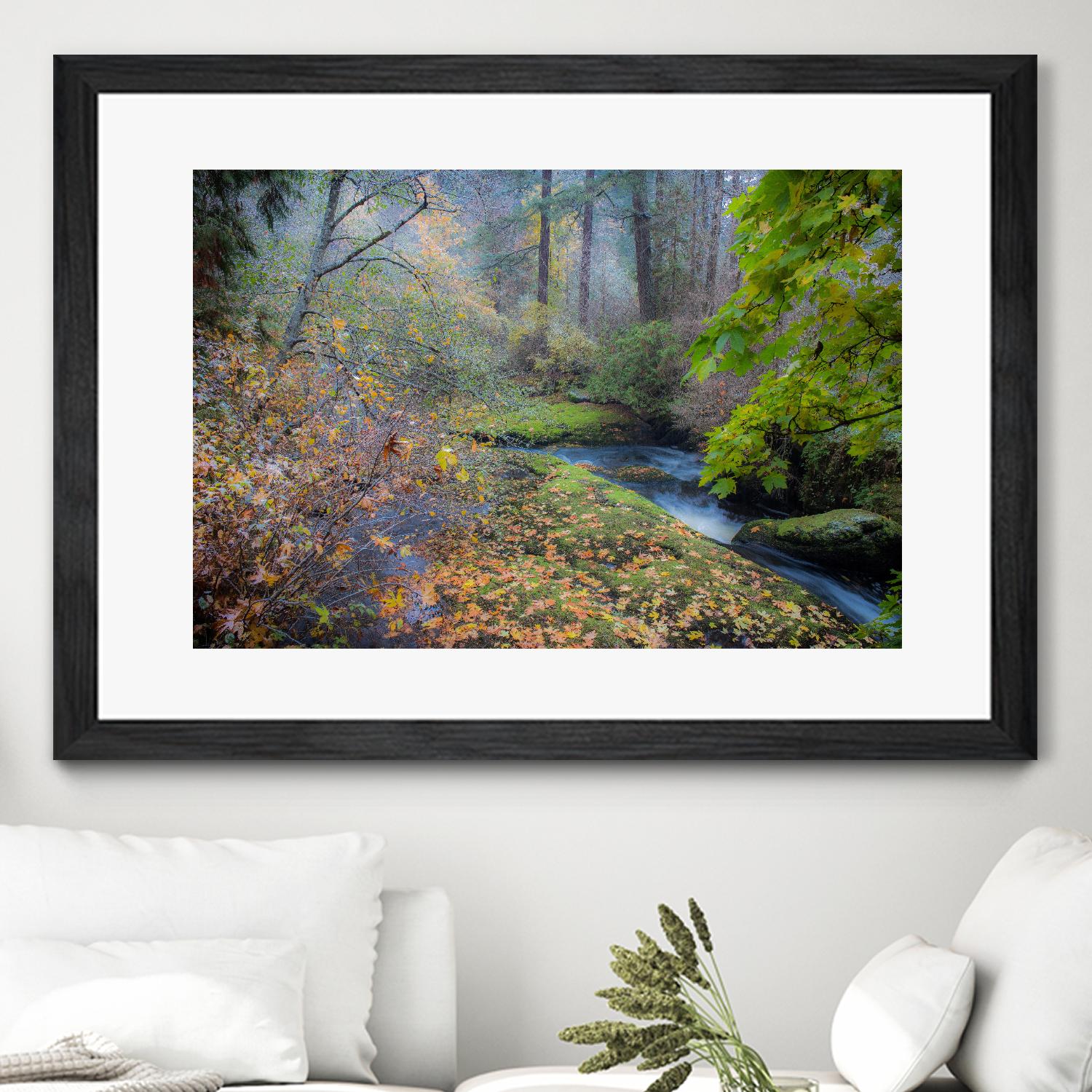 Snow in Fall by Tim Oldford on GIANT ART - multicolor photography; landscapes