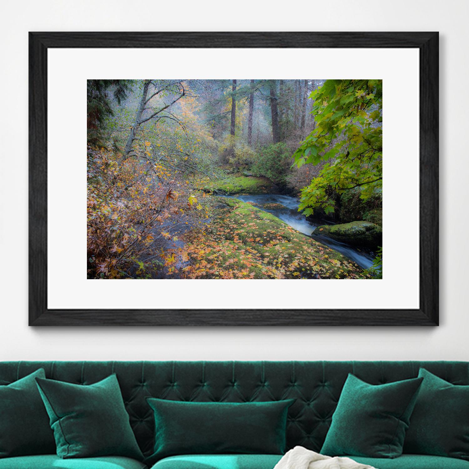 Snow in Fall by Tim Oldford on GIANT ART - multicolor photography; landscapes