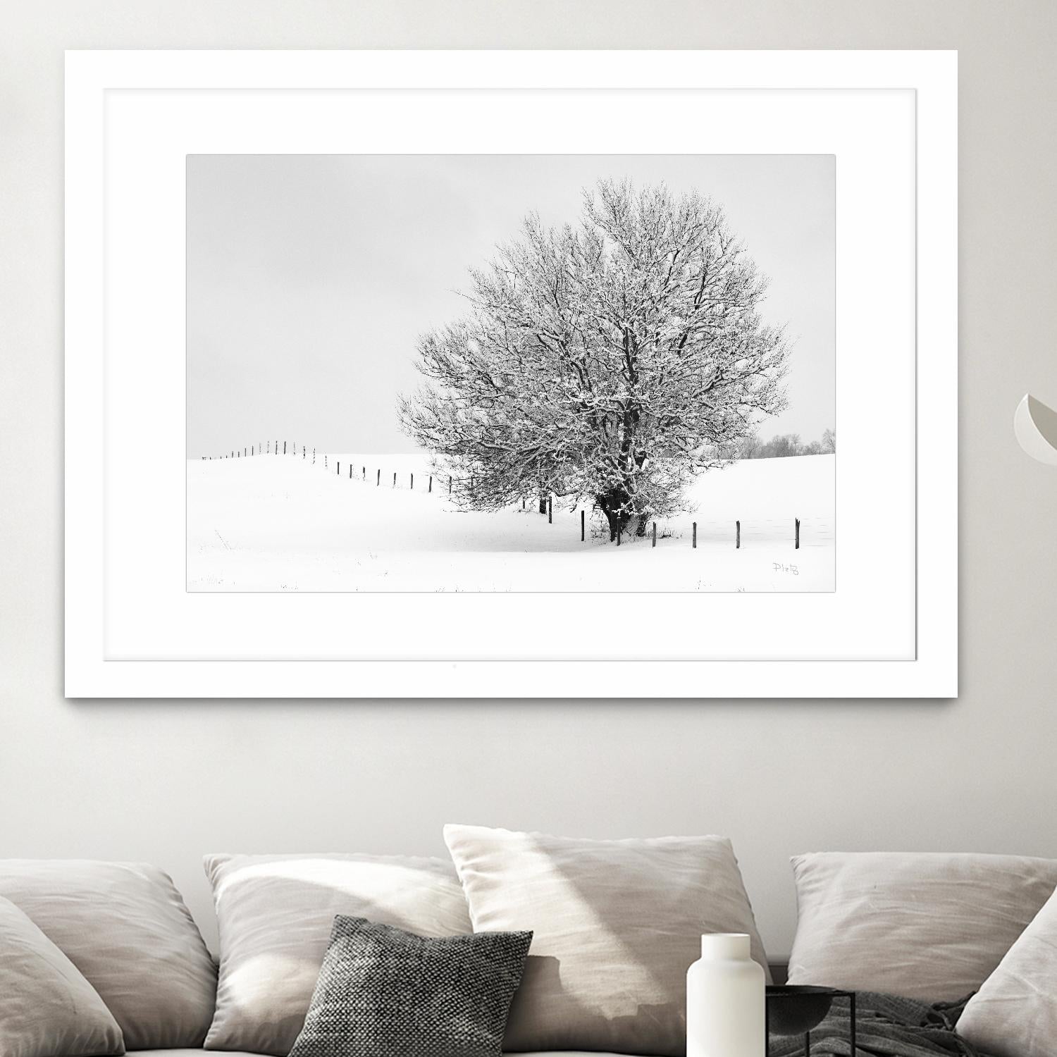 Depth of Field by Matthew Platz on GIANT ART - multicolor photography; landscapes