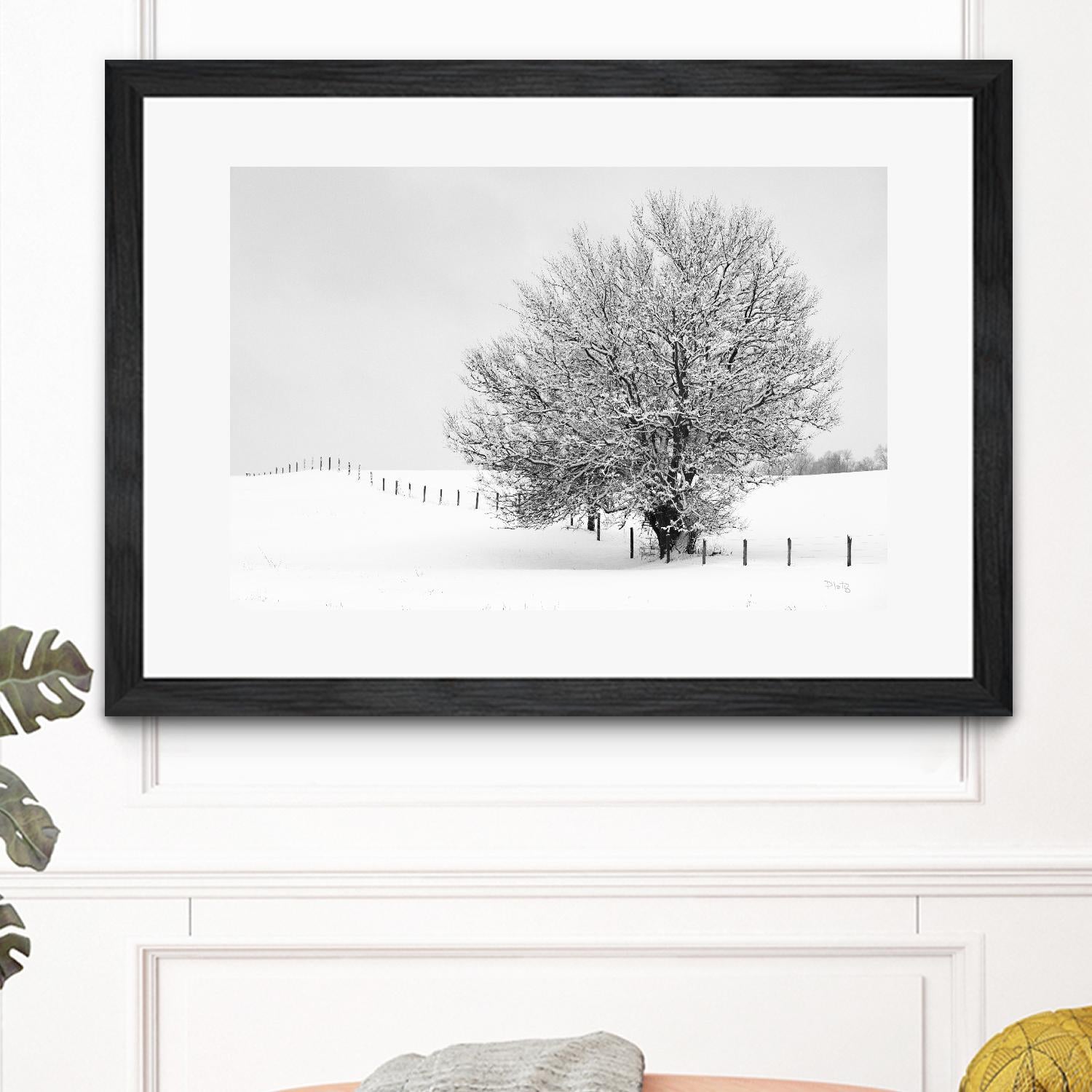 Depth of Field by Matthew Platz on GIANT ART - multicolor photography; landscapes