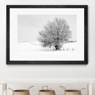 Depth of Field by Matthew Platz on GIANT ART - multicolor photography; landscapes