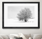 Depth of Field by Matthew Platz on GIANT ART - multicolor photography; landscapes