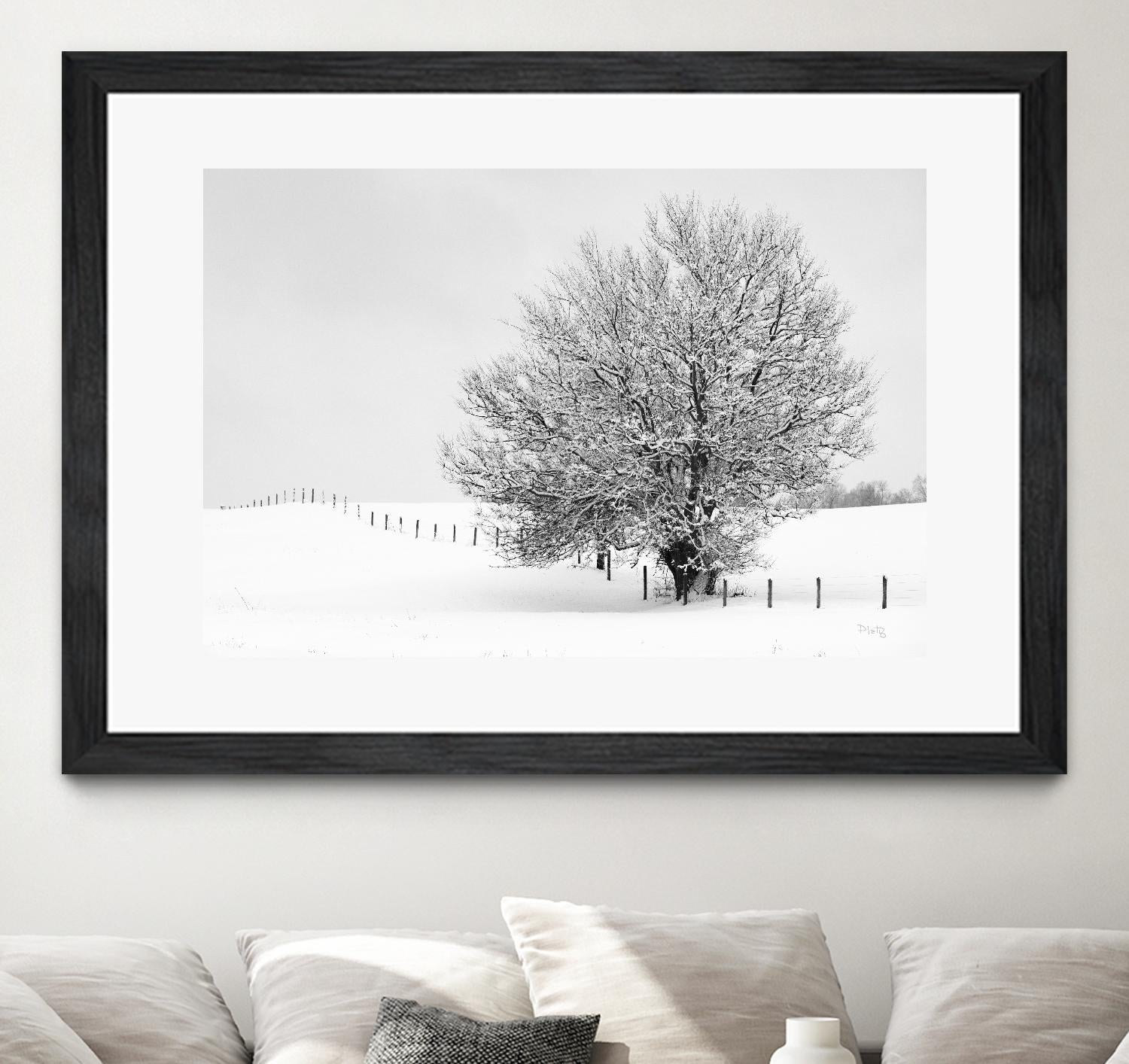 Depth of Field by Matthew Platz on GIANT ART - multicolor photography; landscapes