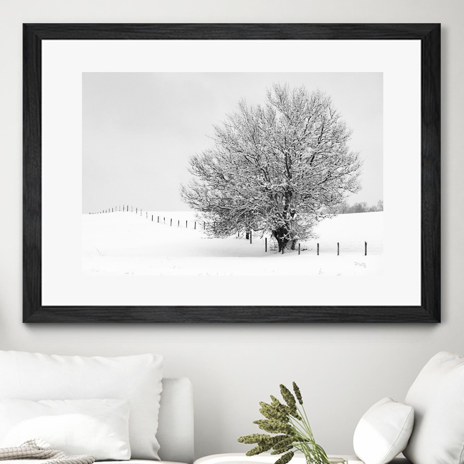 Depth of Field by Matthew Platz on GIANT ART - multicolor photography; landscapes