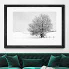 Depth of Field by Matthew Platz on GIANT ART - multicolor photography; landscapes