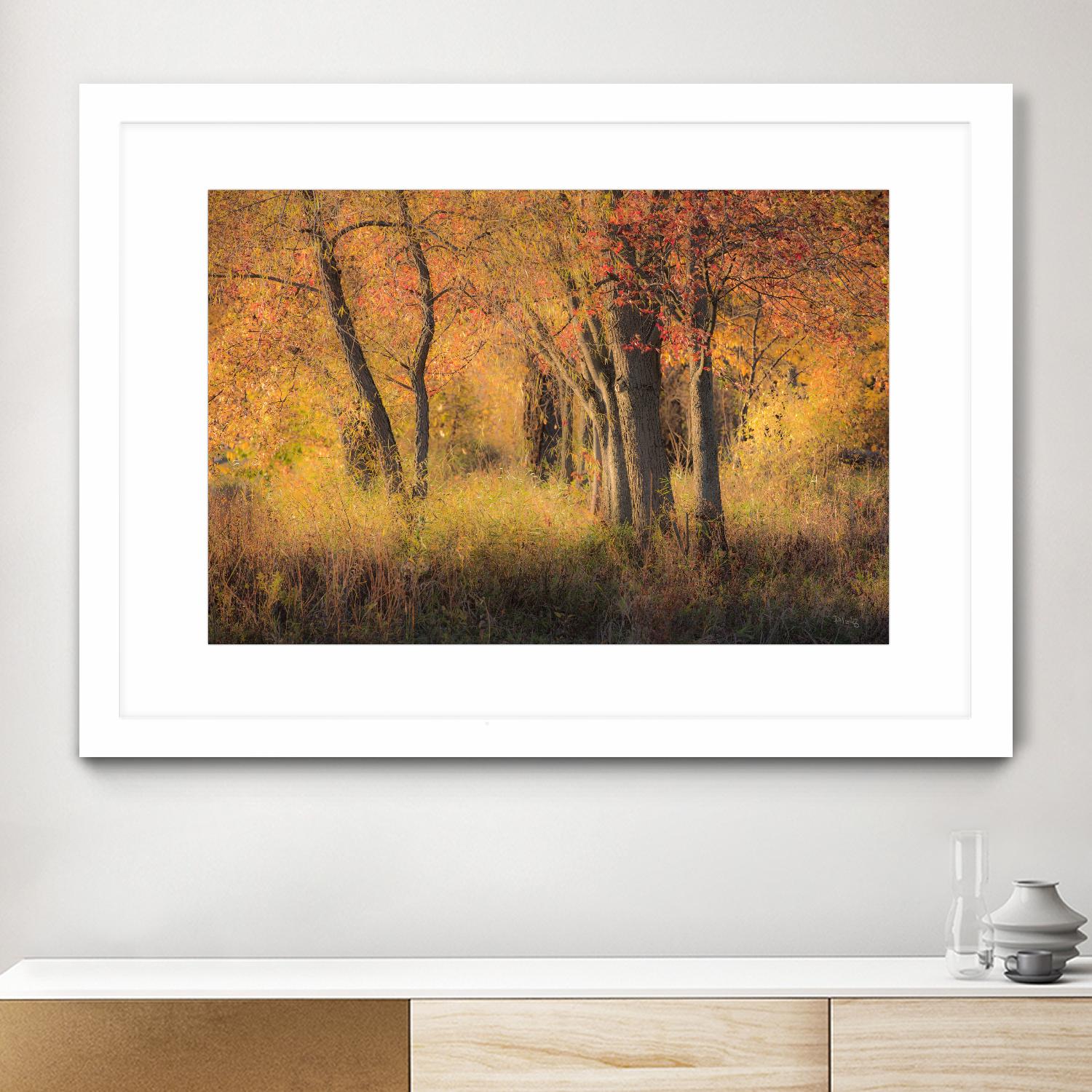 The Other Side by Matthew Platz on GIANT ART - multicolor photography; landscapes